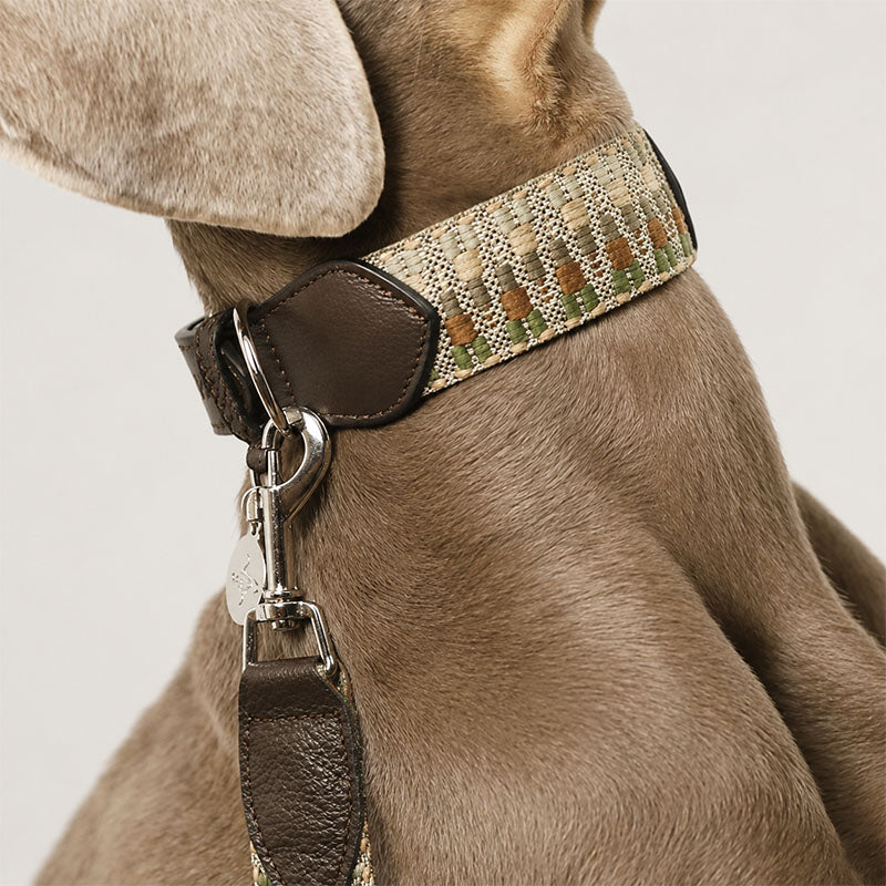 Premium Cotton Webbing & Leather Dog Collar | Comfort-Fit Collar with Matching Leash Option