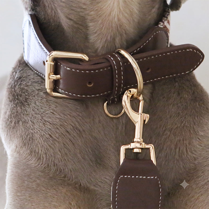 Premium Cotton Webbing & Brown Leather Dog Collar | Comfortable Reinforced Collar with Matching Leash Option