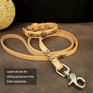 dg-col-0012-6