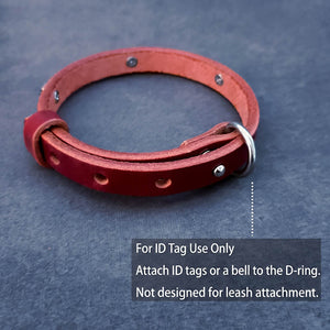 dg-col-0013-1