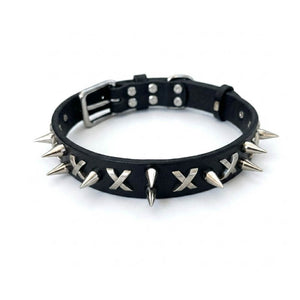 dg-col-0014-blk-1