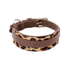 dg-col-0021-sin-lpch-1