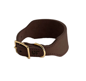 dg-col-0022-dkc-1