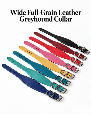 dg-col-0027-2