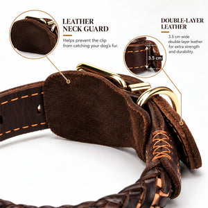 dg-col-0031-2