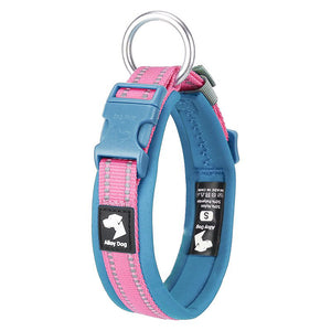 Reflective padded dog collar in Aqua Blue and Candy Pink with neoprene lining and dual reflective strips