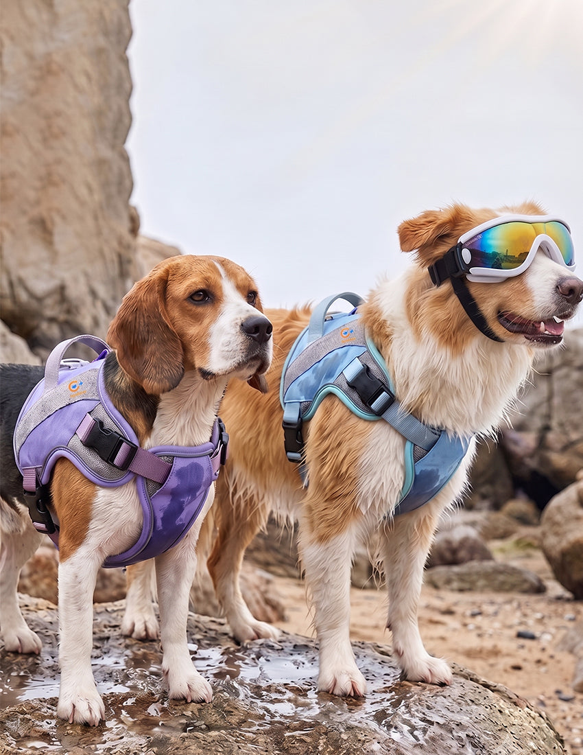 Cooling Dog Harness | Evaporative & Ice Pack Cooling Vest for Summer