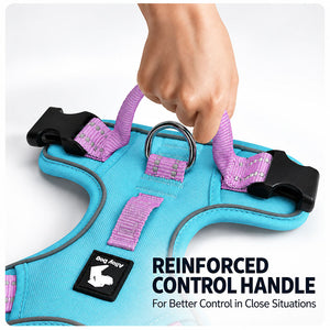 Hand holding the reinforced top control handle on the reflective dog harness