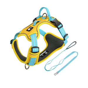 Yellow / Turquoise reflective dog harness and matching leash set