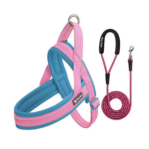 Aqua Blue / Candy Pink padded dog harness with matching braided rope leash set