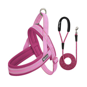 Raspberry Pink / Candy Pink padded dog harness with matching braided rope leash set