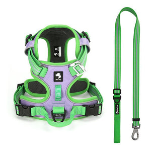Lime Green / Lavender dog harness and matching reflective leash with adjustable length and metal snap hook.