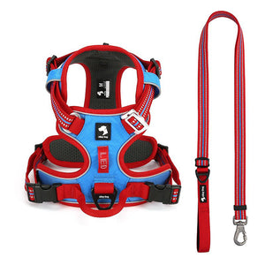 Red / Bright Blue dog harness and matching reflective leash set with adjustable straps and reinforced control handle.