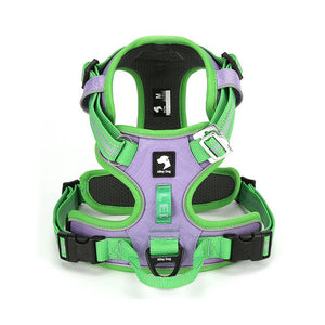 Lime Green / Lavender adjustable dog harness with breathable black mesh lining, reflective straps and metal hardware.