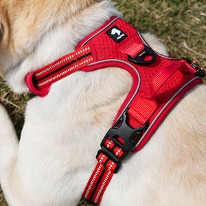 Close-up of a red reflective dog harness showing the padded fit, reflective strips and adjustable webbing