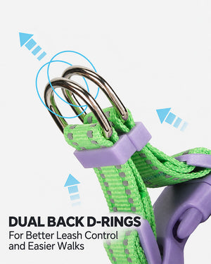 Close-up of the dual back D-rings on a Lime Green and Grape Purple dog harness for leash attachment and control.