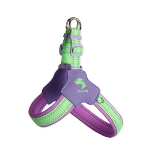 Lime Green and Grape Purple step-in mesh dog harness with reflective trim and adjustable straps.