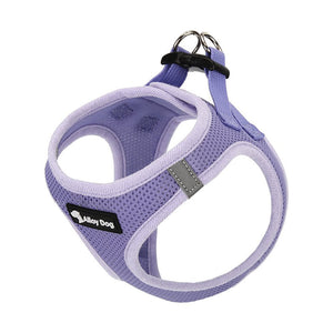 dg-har-0024-dtl-1