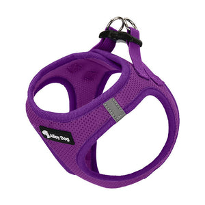 dg-har-0024-grp-1