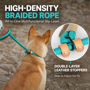 Turquoise braided rope slip lead with adjustable leather stoppers shown on a dog