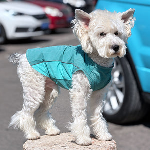 Fluffy white dog standing by a parked car in a Mint Green lightweight cooling dog shirt