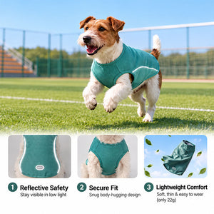 Jack Russell running on a sports field in a Mint Green cooling dog shirt with reflective trim