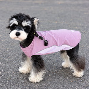 Schnauzer standing on pavement in a Dusty Mauve lightweight cooling dog shirt