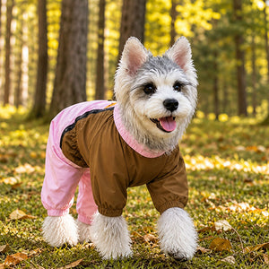 Schnauzer wearing the Pink / Brown convertible 4-leg dog raincoat on an autumn forest walk