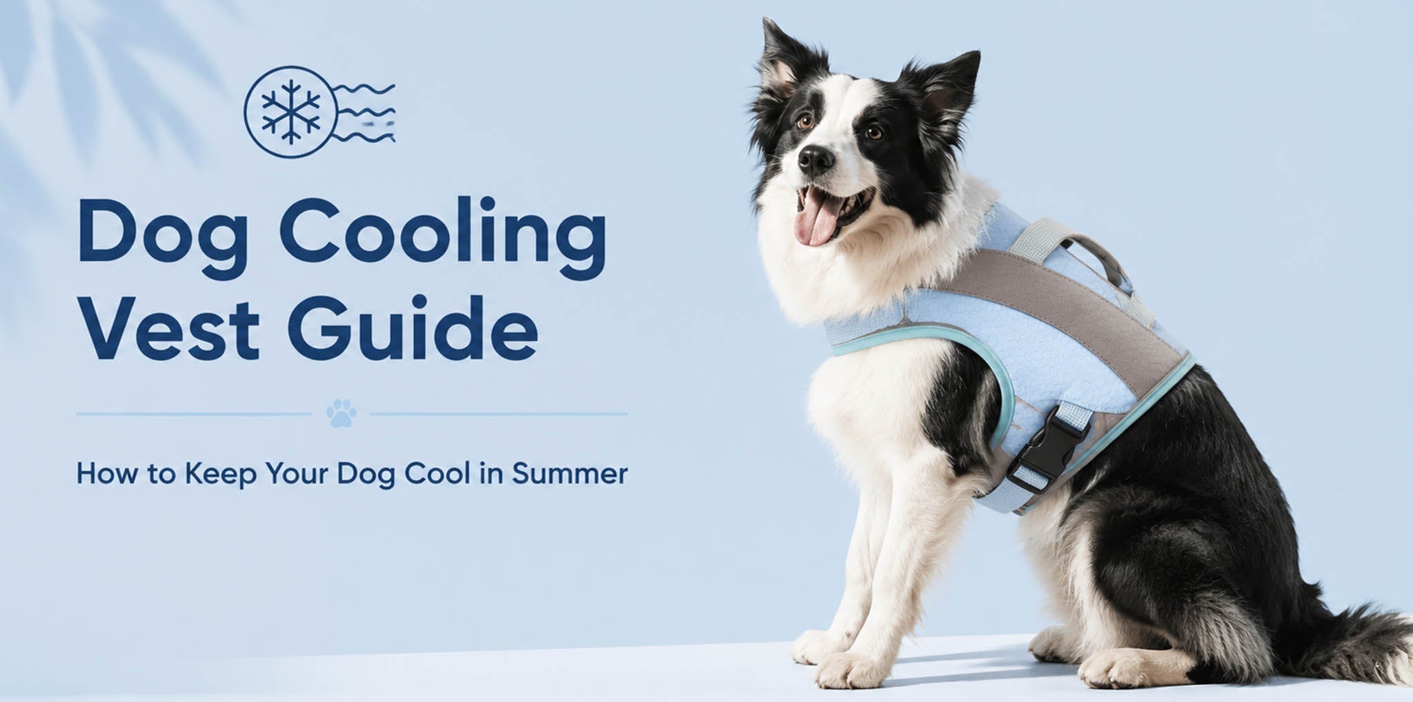 Dog wearing a cooling vest for summer heat protection and outdoor walks