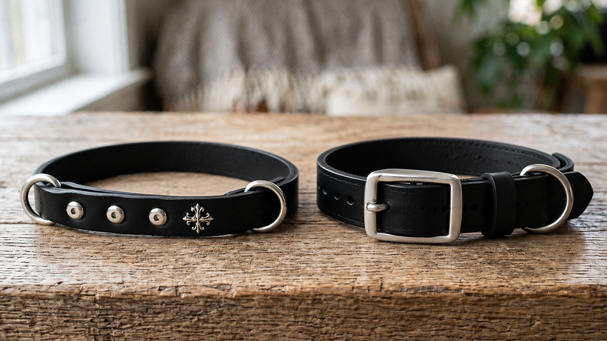 Leather slip collar and buckle collar compared for everyday dog wear and fit