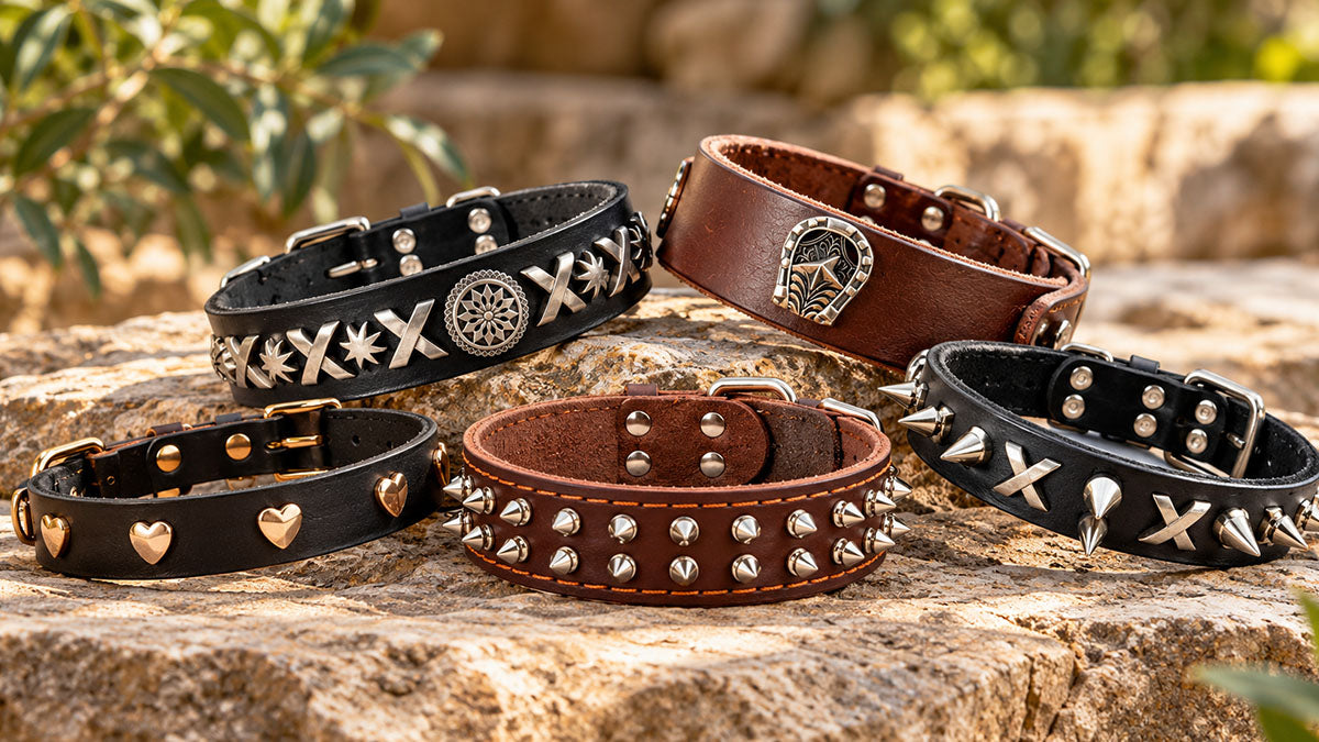 Studded full-grain leather dog collars with cone, mushroom, and heart studs