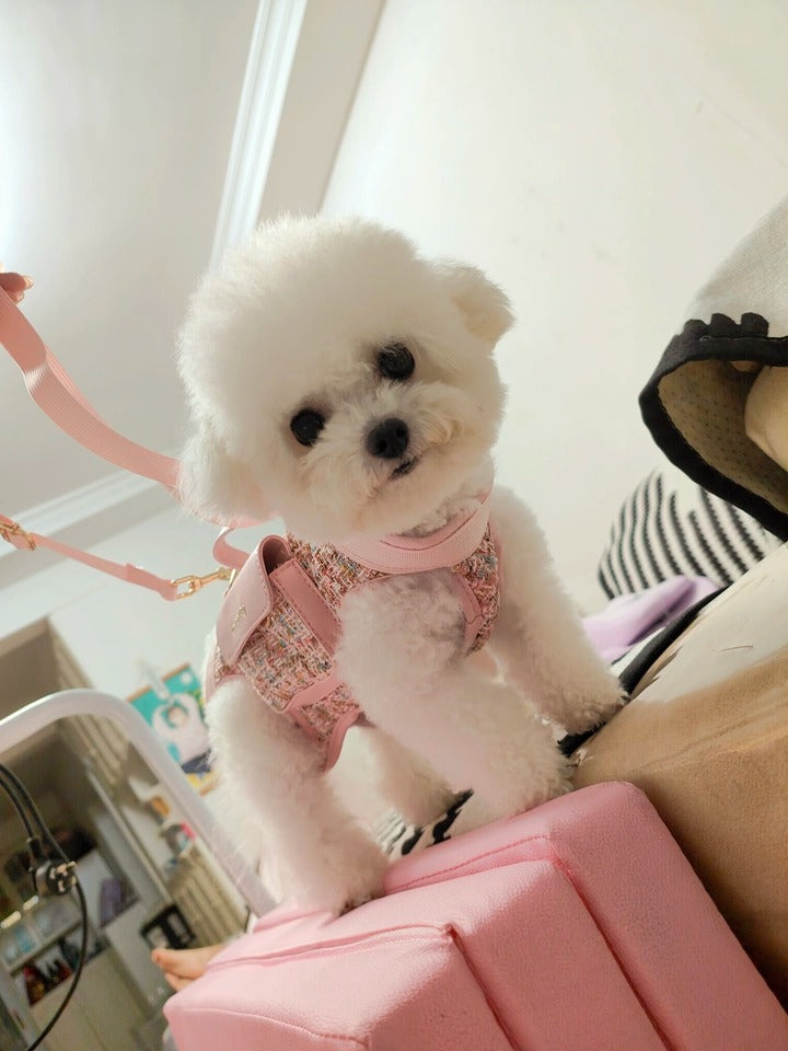 Customer photo: fluffy white dog wearing Awooco pink tweed harness with mini backpack