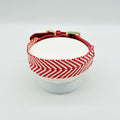 Premium Cotton Webbing & Red Leather Dog Collar | Comfortable Reinforced Collar with Matching Leash Option