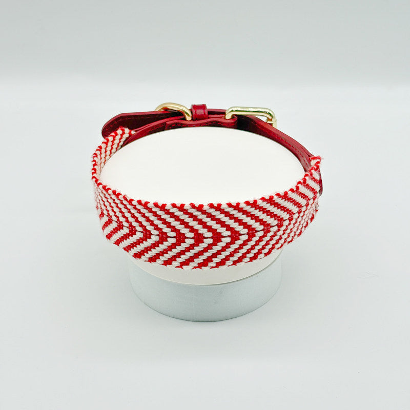 Premium Cotton Webbing & Red Leather Dog Collar | Comfortable Reinforced Collar with Matching Leash Option