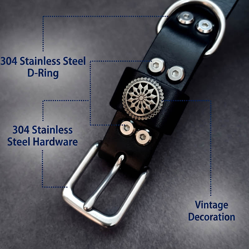 dg-col-0007-3