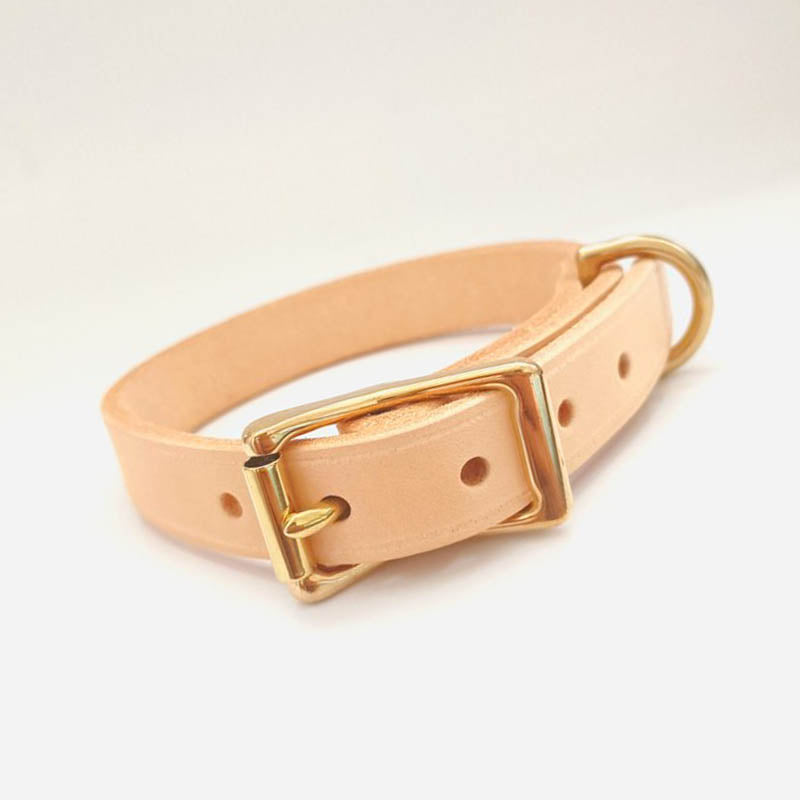 dg-col-0010-1
