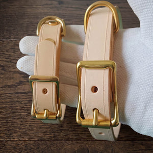dg-col-0010-2