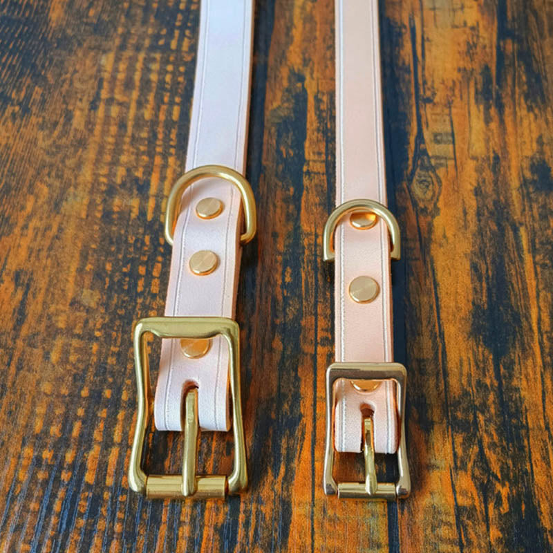 dg-col-0010-3