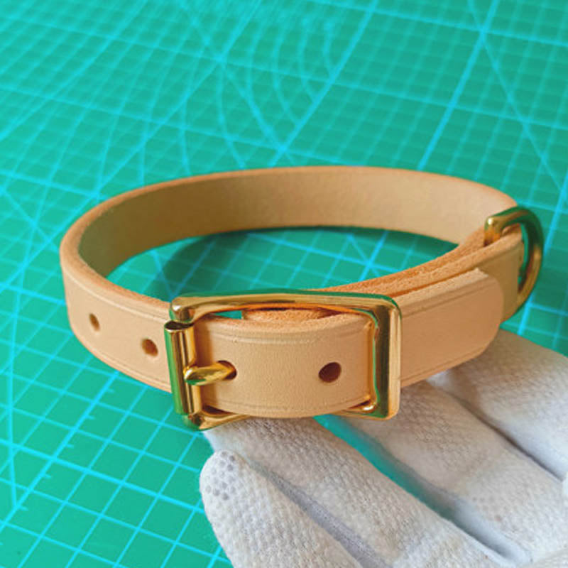 dg-col-0010-4