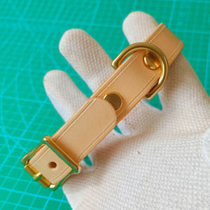 dg-col-0010-6