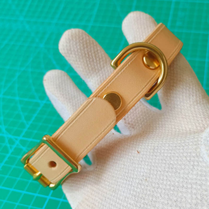 dg-col-0010-6