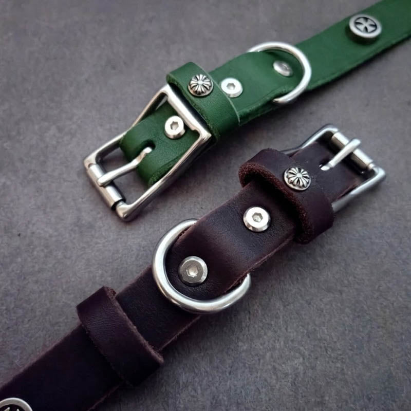 dg-col-0011-2