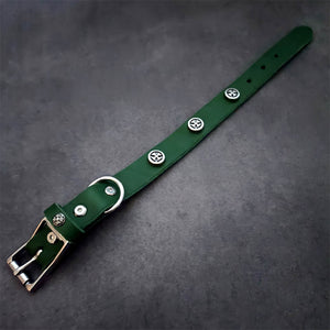 dg-col-0011-6