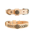 dg-col-0012-1