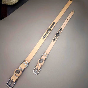 dg-col-0012-4