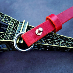 dg-col-0013-3