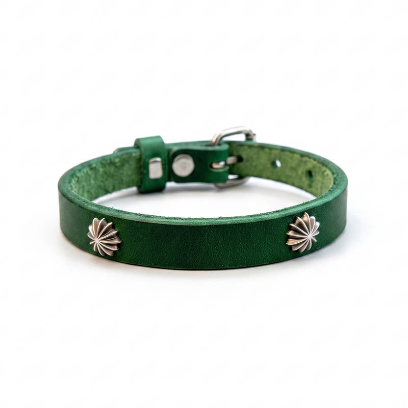 dg-col-0013-ivg-1