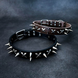dg-col-0014-2