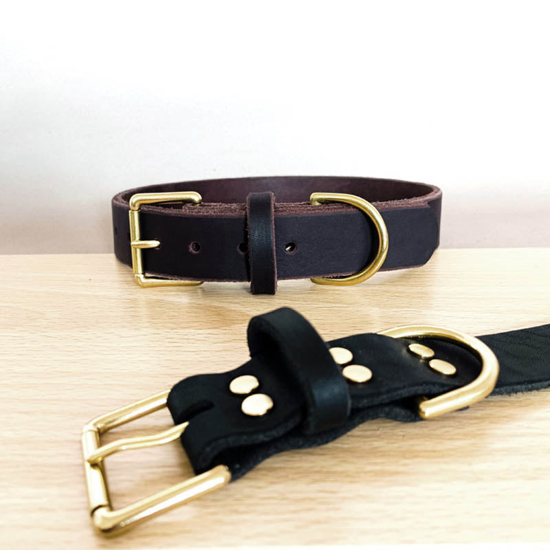 dg-col-0015-1