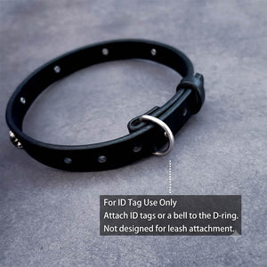 dg-col-0016-2